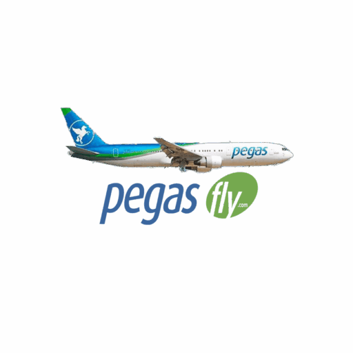 Pegas Fly